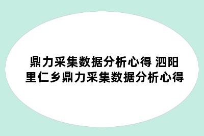 鼎力采集数据分析心得 泗阳里仁乡鼎力采集数据分析心得